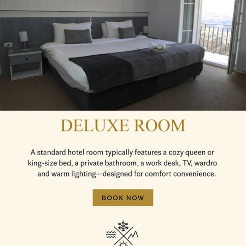 DELUXE ROOM