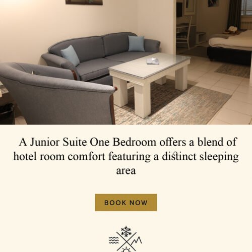 ONE BEDROOM SUITE